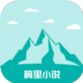 青桃视频APP应用