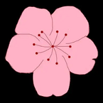 WWW,se489·COM网站APPAPP应用