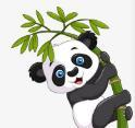 蘑菇视频1.3.4.APP应用